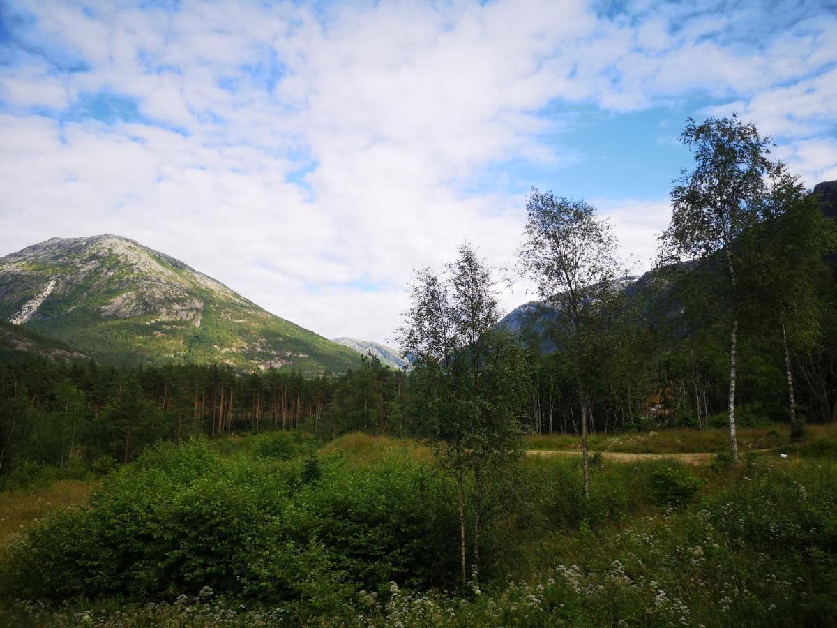Kinsarvik Hostel エクステリア 写真